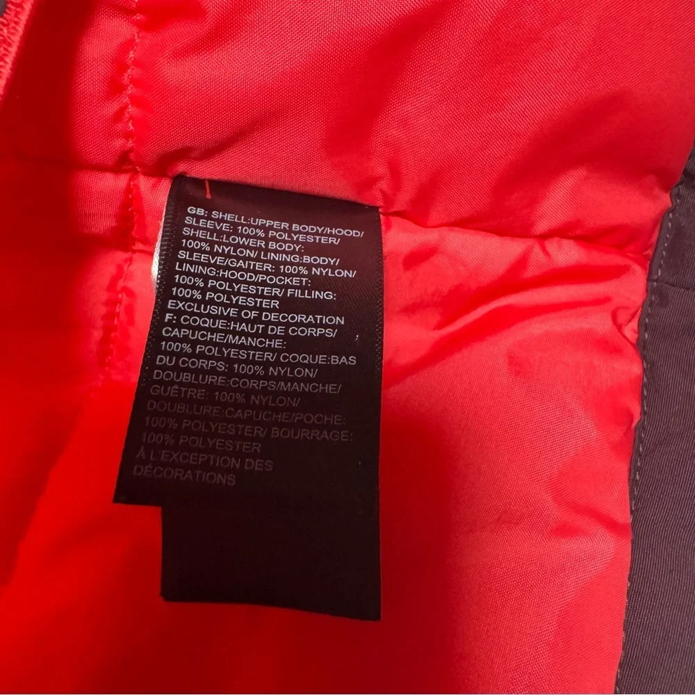 The North Face Freedom Insulated Jacket
